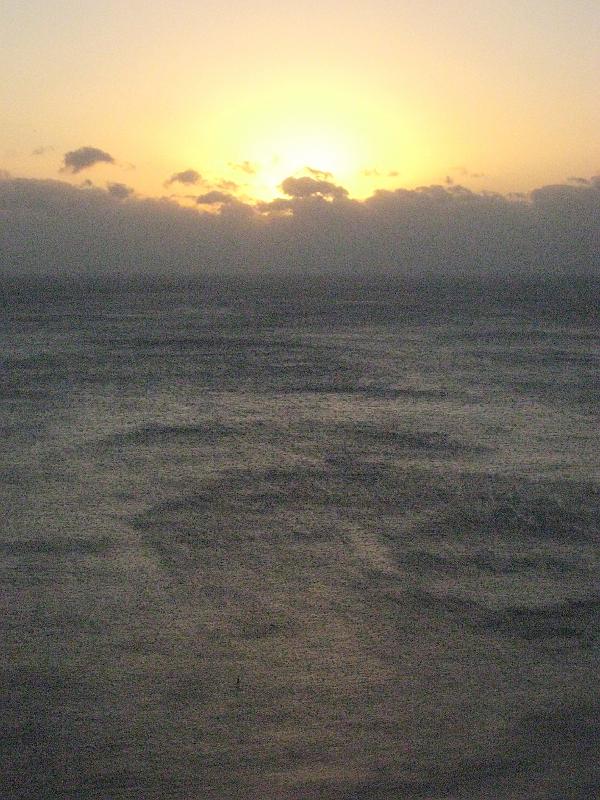 IMG_4128.JPG